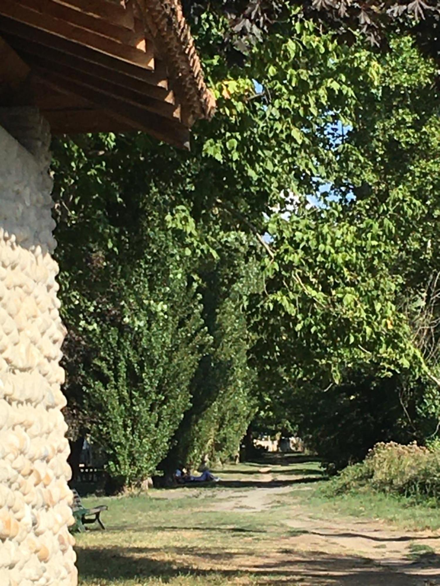 La Villa De Lise Romans-sur-Isere Ngoại thất bức ảnh